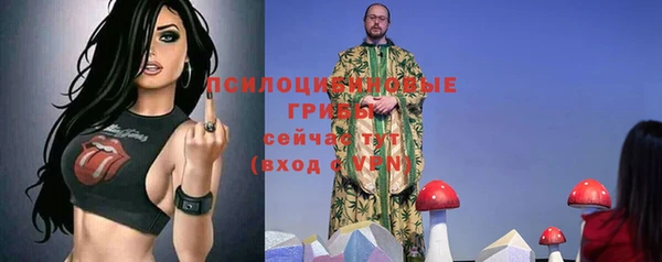 ECSTASY Балабаново
