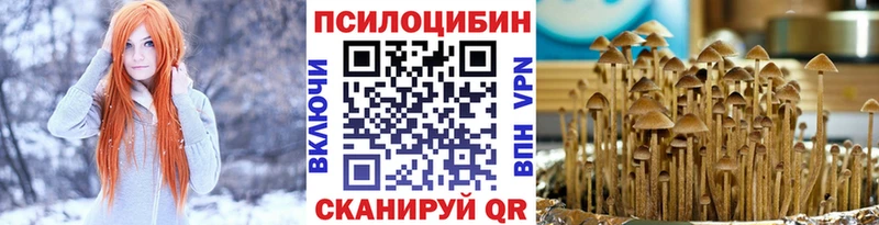 Псилоцибиновые грибы Psilocybe ссылка на мегу ссылки Тында