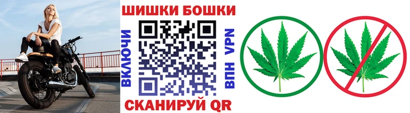 мега онион  продажа наркотиков  Тында  Бошки марихуана SATIVA & INDICA 